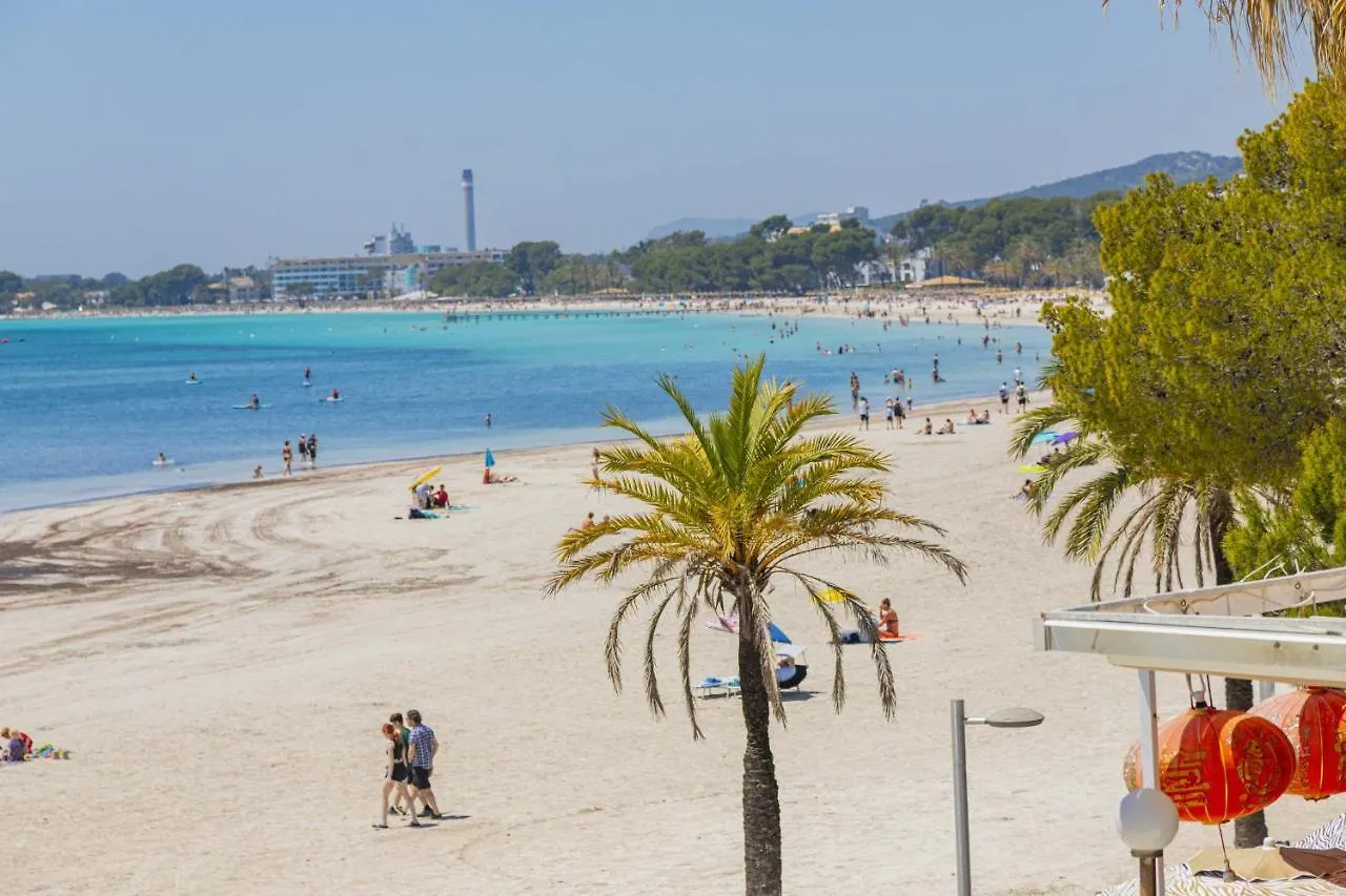 Apartamento Xara Alcudia  Alcudia (Mallorca)